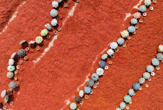 Aerial view of workers with umbrellas moving along lines on a field of deep red chillies drying in the sun, Sariakandi, Rajshahi Division, Bangladesh.