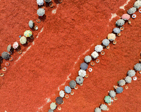 Aerial view of vibrant red chili peppers drying under the sun, punctuated by colorful umbrellas providing shade, Sariakandi, Rajshahi Division, Bangladesh.
