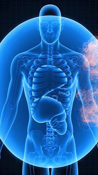 Abstract visualization of human internal organs and circulatory system with glowing red particles on a dark grid background representing energy flow and biological processes