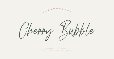 Cherry Bubble, Abstract Script Fashion font alphabet. Minimal modern urban fonts for logo, brand etc. Typography typeface uppercase lowercase and number. vector illustration
