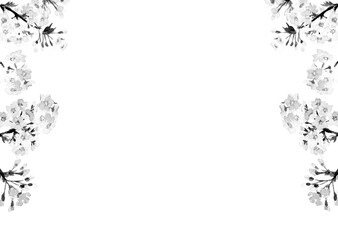 Obraz premium 水彩で描いた桜のフレーム素材モノトーン【手描き】白バック 透過背景 コピースペースあり