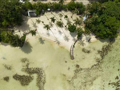 Aerial view of Bobby Beach, where turquoise waters meet the shore, fringed with palm trees and lush vegetation, Karimunjawa, Central Java, Indonesia.
