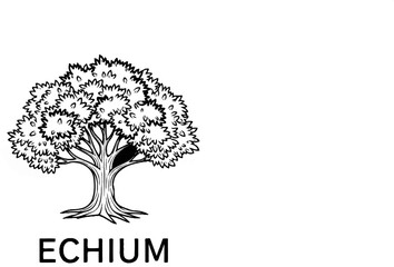 Obraz premium Stylized black and white illustration of a leafy tree with roots and text