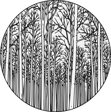 Detailed illustration of a dense forest with many thin trees in a circle