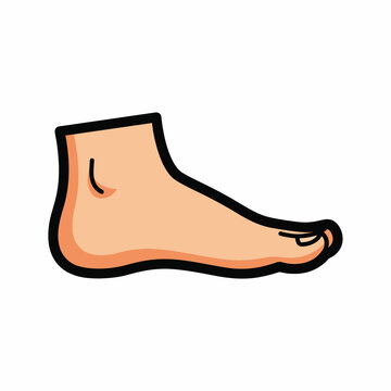 A cartoon drawing of a right human foot