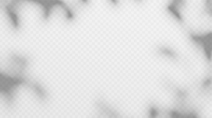 Obraz premium Abstract tree leaves shadow overlay isolated on transparent background. Soft foliage shade effect on wall