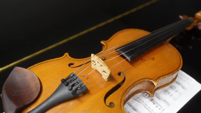 Violin in a case close up