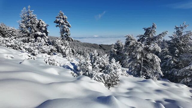 Amazing Winter landscape of Vitosha Mountain, Sofia City Region, Bulgaria