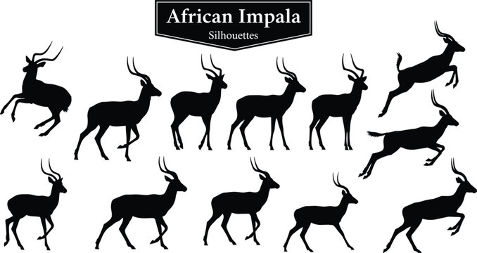 Black African impala silhouette collection set with jumping and standing antelope animals isolated on white background for safari nature design elements