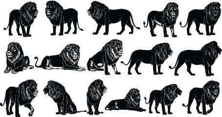 Black lion silhouette collection with male lions in standing and sitting poses cad drawing flat vector illustration isolated on white © Mehedi