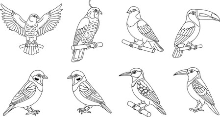 Collection of diverse bird illustrations in a clean outline style on a white background