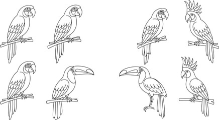 Fototapeta premium Collection of line art parrots and toucans perched on branches against a white background