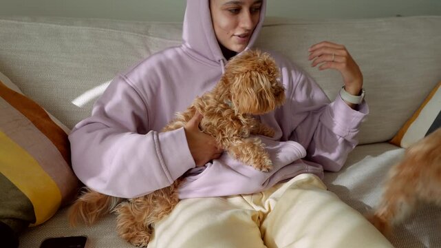Enthusiastic dog training with treats and signals in cozy living space