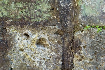 風化したブロック塀のテクスチャ