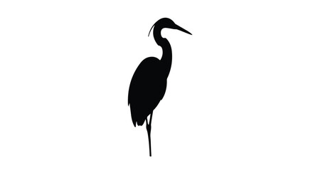 Obraz premium Gemini saidA black crowned night heron and crane silhouette isolated on white featuring a great blue bird with wild feathers standing in nature