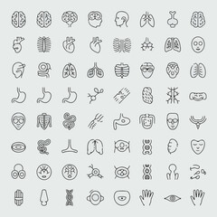 Human body parts illustrated in a clean vector silhouette style, showcasing various organs and body parts from different viewpoints