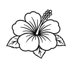 Obraz premium Hibiscus flower line art, black and white outline vector illustration, tropical bloom sketch for coloring book or tattoo design