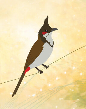 Small Songbird Red-whiskered Bulbul Sitting on Wire.