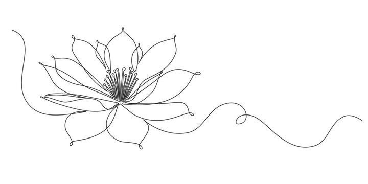 lotus one line continous vector illustration, vesak day element design	