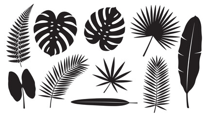 Leaves black silhouette set with various tropical plant shapes including monstera, fern, and palm fronds for nature design. © Harry 