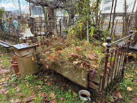 Back to nature: close-up of an old, ornate metal bed, overgrown with green climbing plants and brown leaves. Next to it are a wooden nightstand and a chamber pot.