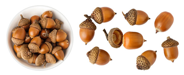 Brown acorn oak nut in ceramic bowl isolated on white background. Top view. Flat lay © kolesnikovserg