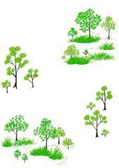 Watercolor tree branch elements, forest decoration set