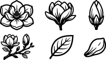 Naklejka premium Minimalist line art magnolia flower icon set six botanical icons close up branch bud leaf outline vector black stroke flat