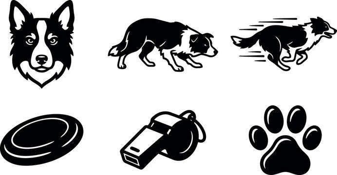 Minimalist vector icon set showing border collie head and stalking herding pose plus running dog with frisbee whistle and paw