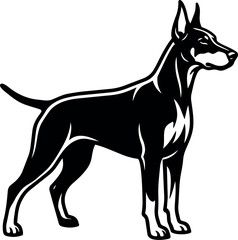 Obraz premium Bold minimalist vector line art profile of standing doberman dog looking right with alert posture black and white clean silhouette