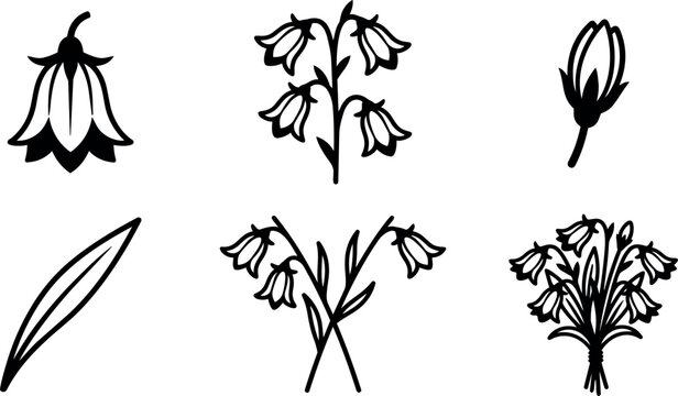 Minimalist line art botanical icons of snowdrop flowers six compositions close up stem bud leaf bouquet black white vector icons