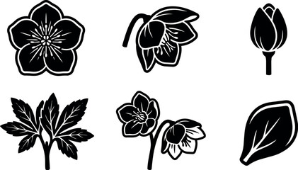 Obraz premium Minimalist vector floral icon set close up hellebore flowers leaves buds and single petal in black silhouette line art flat