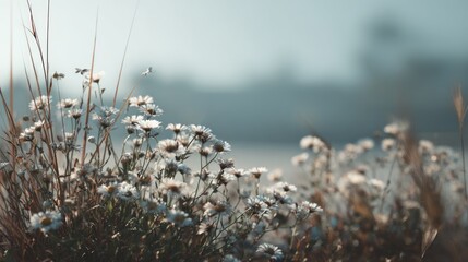 Dreamy floral meadow in muted tones, evoking peacefulness and serenity