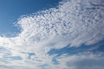 Fototapeta premium Blue sky with stratocumulus clouds in sunny day