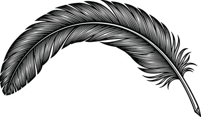 Vintage black and white feather quill pen illustration with detailed hand drawn engraving style isolated on white background for literature and writing concepts. © Austomi's World