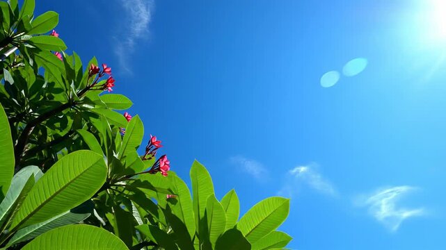 Bright blue sky with fluffy clouds and lush green leaves with a sun flare in the upper right corner