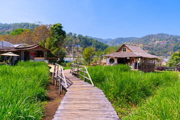 Fototapeta premium Wooden pathway through green grass leads to rustic houses with thatched roofs under clear blue sky in countryside. Japanese style