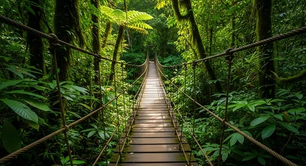 Fotobehang Bosweg Suspension bridge in green forest  © Hena