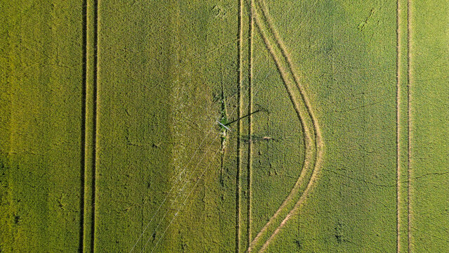 Wheat field with power lines going through in the rural area of Germany, seen from above