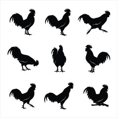 Rooster Silhouette Vector Collection – Set of 9 Rooster and Chicken Poses for Farm Logos and Rural Design © Shifaul Islam