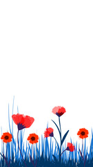 Fototapeta premium fiori, natura, primavera, campagna, campo di fiori, 