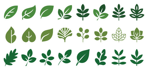 Tropical and fern leaf vector collection in green shades vector illustration eps 10 © MDRAKIBUL