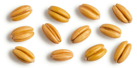 Obraz premium Brown wheat grains on white background isolated