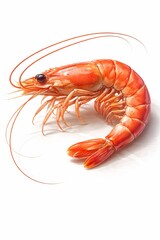 A detailed shrimp in semi-realistic 3D with curved body, segmented shell, long antennae, and delicate legs. With vibrant coral-orange tones with speckled texture. With glossy highlights