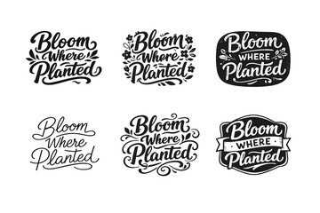 Fototapeta premium Bloom Where Planted. Set lettering. harmonious lettering variations of the same emblematic concept, each with different artistic interpretation (Bold