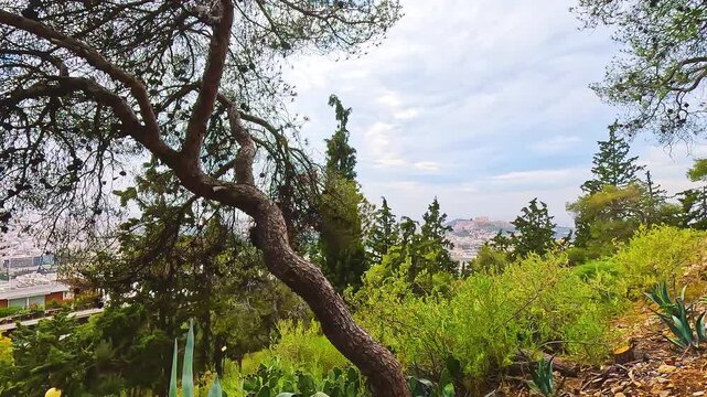 Acropolis Parthenon by Athens Greece cityscape skyline urban sprawl of residential buildings in Plaka district view from Lycabettus hill park
