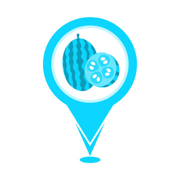 cute blue cucamelon vegetable location pin icon