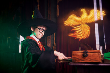 Naklejka premium Phoenix Spell Awakening