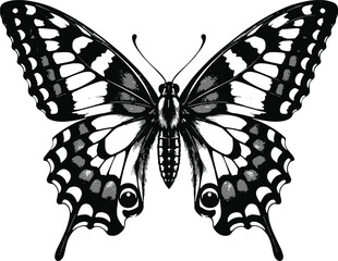 Butterfly Clip art © Ascendency