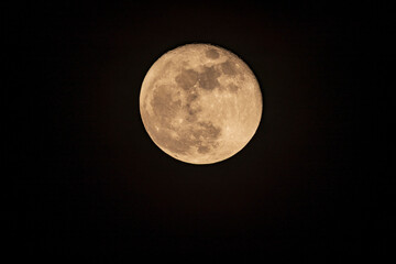 Obraz premium Large yellow full moon isolated on black background, astronomical photography